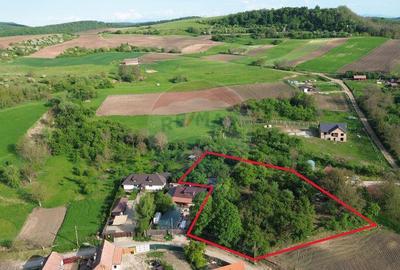 Teren de 3269 mp, în Slimnic - 16