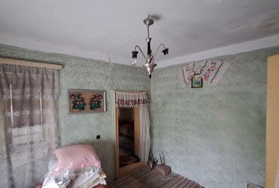 Teren intravilan+locuinta Cunesti, Calarasi - 4