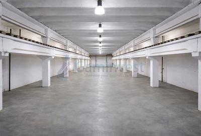 Spațiu industrial, de 3,700 mp, în Oncea - 4