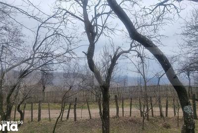 Teren de 3781 mp, în Izvoarele - 12