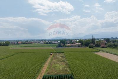 Teren Construcții intravilan de 1463 mp, în Stupini - 3
