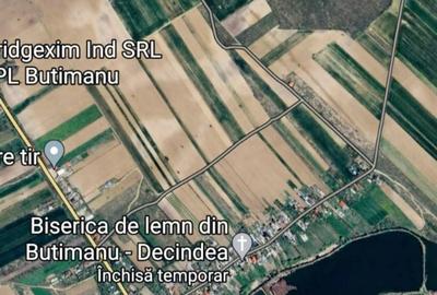 Investitie vanzare 7000 mp teren intravilan Butimanu deschidere directa la lac - 5