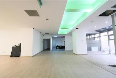 Spațiu comercial, de 330 mp, în Nicolina - 3