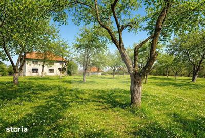 Casă cu 8 camere cu Teren 4851 Mp în Iara - 4