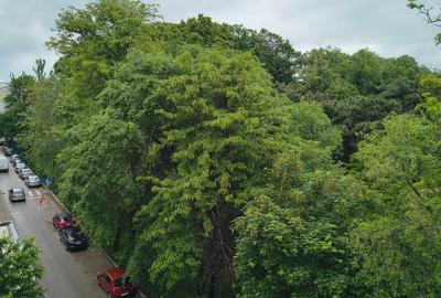 Apartament cu 4 camere decomandat în Central - 4