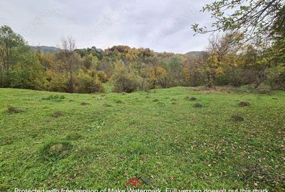 Casă cu Teren 14340 Mp în Breaza - 11