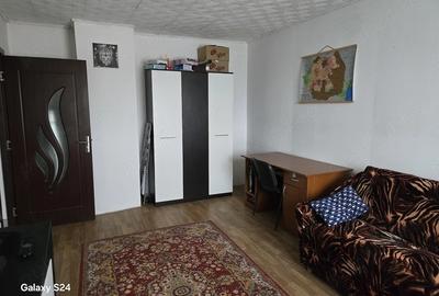 Apartament cu 2 camere decomandat în Remetea Mare