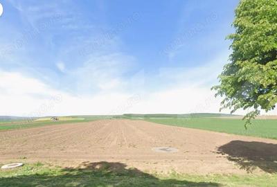 Teren 75 ari, Drumul Mitocului, Suceava, oportunitate investie, Dezvoltatori. - 1