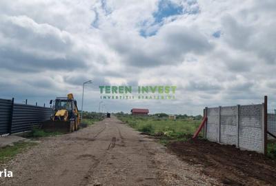 Teren de 540 mp, în Frumușani - 8