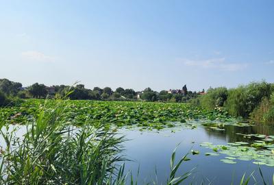 TEREN CU DESCHIDERE LAC /O BIJUTERIE RARA PE MALUL LACULUI SNAGOV TEREN CU DESCHIDERE LAC /O BIJUTERIE RARA PE MALUL LACULUI SNAGOV - 1