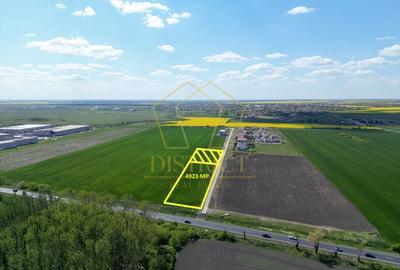 Teren Construcții intravilan de 4923 mp, în Sânandrei - 1