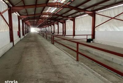Spațiu comercial, de 3,280 mp, în Mărășești - 12