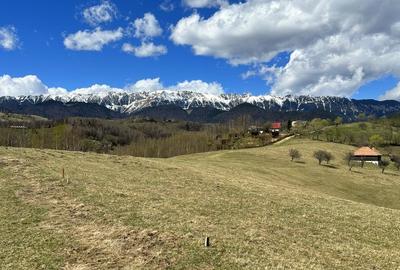 Teren Construcții extravilan de 1550 mp, în Moieciu - 8