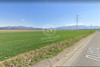 Teren Construcții extravilan de 21280 mp, în Vulcan - 8