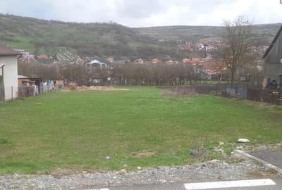 Teren de 1270 mp, în Chinteni