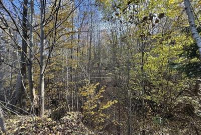 Teren de 13167 mp, în Bughea de Sus - 1