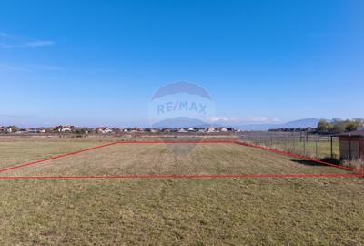 Teren Harman, Strada Henri Coanda, 1000mp Teren Harman, Strada Henri Coanda, 1000mp - 8