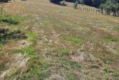 Teren de 1400 mp, în Săvârșin - 4