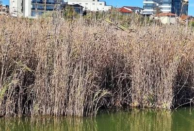 Apartament cu 2 camere decomandat, mobilat în Nord - 13