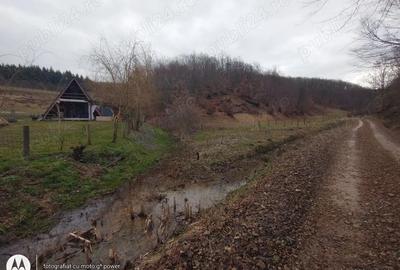 Teren de 1500 mp, în Hideaga - 5