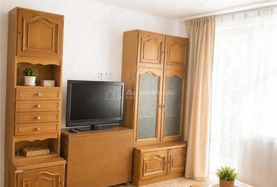 Apartament cu 2 camere semidecomandat în Săsar - 4