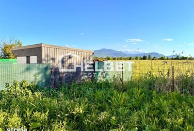 Apartament cu 3 camere în Sânpetru - 3