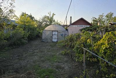 Casă cu 5 camere în Brăgăreasa - 4