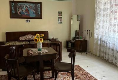 Jamu Mare, jud Timis - 6