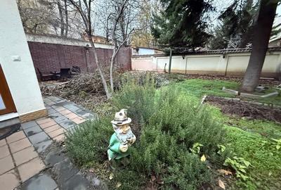 De inchiriat Casa / Vila 7 camere + curte zona Vatra Luminoasa - 3