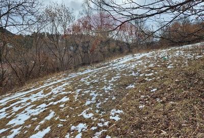 Teren intravilan 1,577mp Brasov / Schei/  constructii fara fundatie! - 7