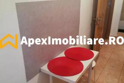 Garsonieră decomandată în Timișoara - 8