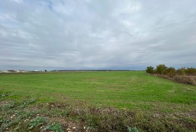 Darvari Ciorogarla Str Tineretului 2 loturi 500 mp zona in dezvoltare - 12