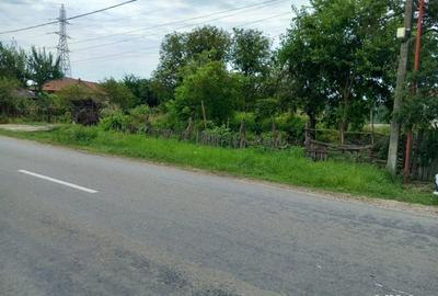 Teren de 10351 mp, în Aninoasa - 1