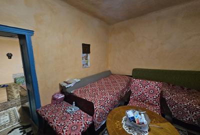Casă individuală, cu 3 camere, în localitatea Ivanda, la 30 km de Timișoara - 8