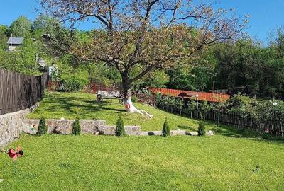 Casă cu 3 camere cu Teren 1350 Mp în Central - 5