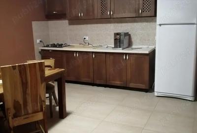 Casă cu 4 camere cu Teren 5000 Mp în Central - 9