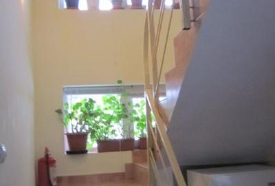 Voineasa, Valcea, vila 13 camere, altitudine 700 m Voineasa, Valcea, vila 13 camere, altitudine 700 m - 10