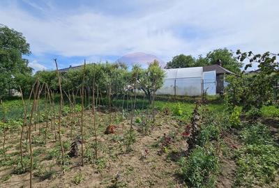 Casă individuală cu 12 camere cu Canalizare în Sfântu Ilie - 41