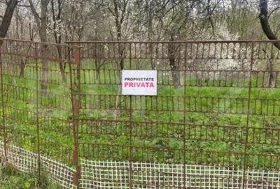 Teren de 784 mp, în Nistorești - 4