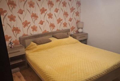 Apartament cu 1 camera Someseni - 1