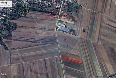 Teren intravilan constructii Stoenesti (Floresti-Stoenesti) / None - 2