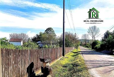 Spațiu comercial, în Nișcov - 1