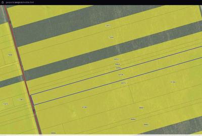 Teren de 14801 mp, în Valea Lupului - 3