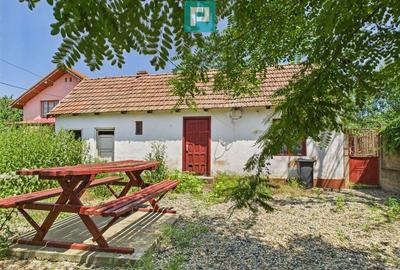 Casa de vacan?a mobilata ?i utilata la Mini? - 26