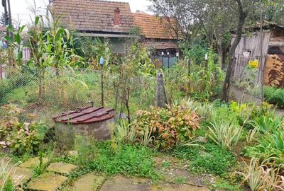 Casă de vânzare în Războieni-Cetate, județul Alba. - 4