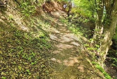 Teren intravilan 1,577mp Brasov / Schei/  constructii fara fundatie! - 6