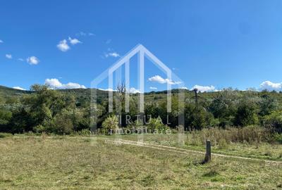 Teren agricol extravilan de 40000 mp, în Gușterița - 2