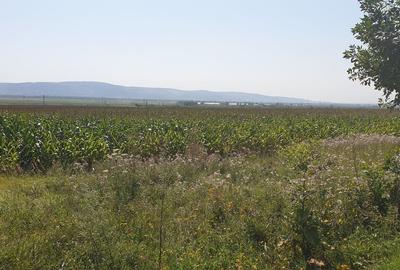Teren de 9500 mp, în Nicolae Bălcescu - 4