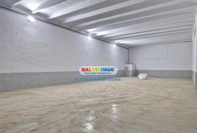 Hala depozitare/productie/industrial 700mp Splai Centura Buc - 9