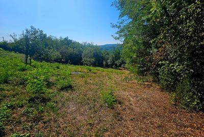Teren intravilan 2322 mp, Păcuri – vedere superbă spre pădure! - 5